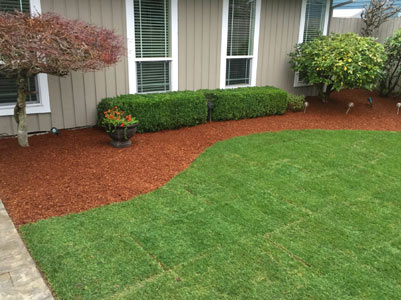 Natural Lawn