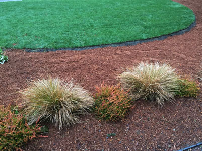 Natural Lawn